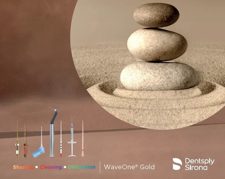 cover visual with stacked stones and WaveOne Gold products