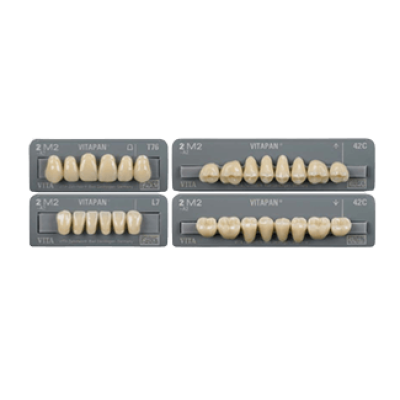 Denture Teeth