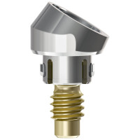 Access Abutment, 30°, 2.9mm