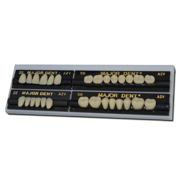 مايجور كلاسيك، طقم أسنان صناعية كامل، 2C-3R - Major - T4049