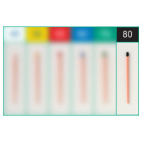 أقماع الكوتا بيرشا شور-إندو 80