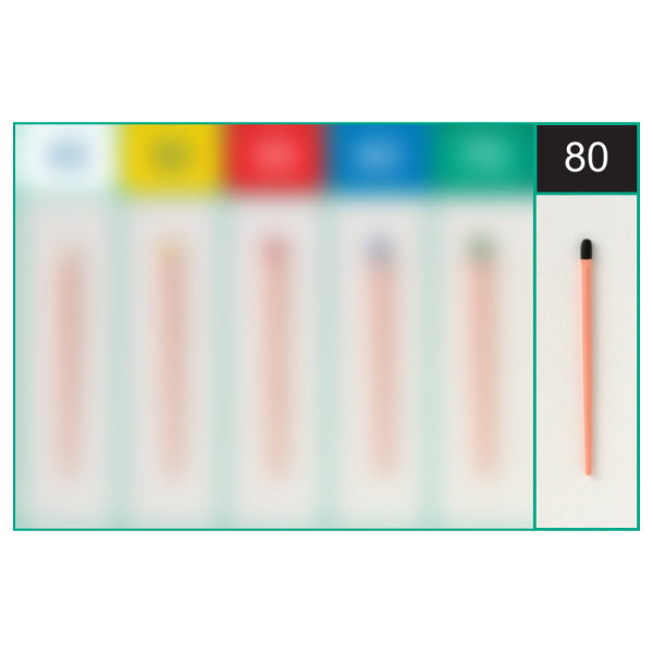 Sure-Endo Gutta Percha Points 80 - SureEndo - SI-14