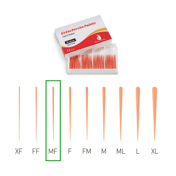 Sure-Endo Gutta Percha Points M-F - SureEndo - SI-19